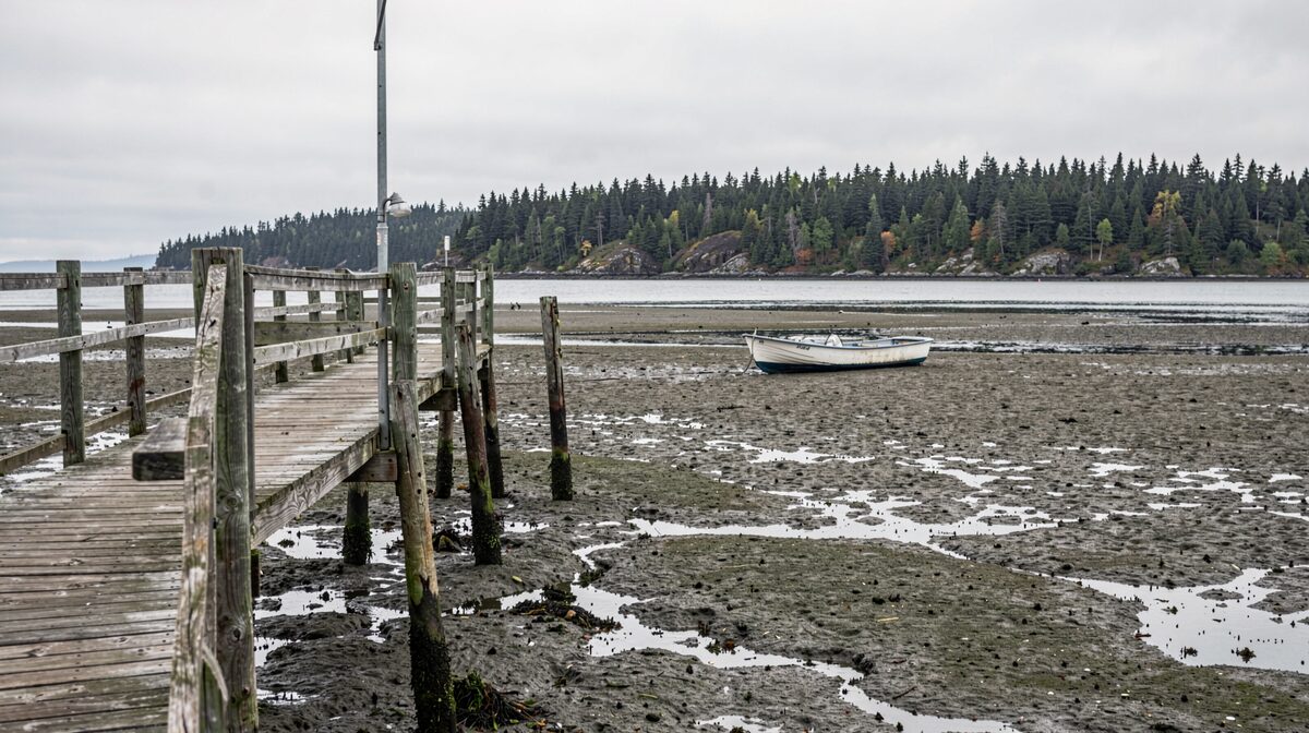 A weathered wooden boardwalk on pilings above exposed beach mud at low tide in Halibut Cove, with a skiff resting on the flats and spruce-covered Ismailof Island in the background under flat morning light.